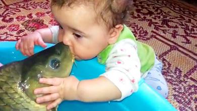 Try Not to Laugh Funny Cute Babies Kissing Compilation 2018