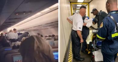 El momento en el que una mujer tuvo a su bebé arriba de un avión