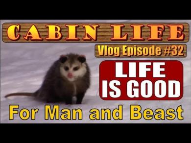 OFF GRID CABIN LIFE. Awesome Winter Wonderland. Vlog 32