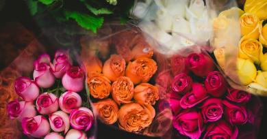 Red, Yellow, or Blue? Here's What Each Rose Color Means For Your Relationship