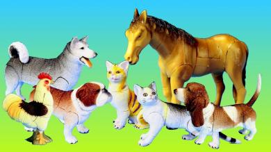 Toy Pet Animals 3D Puzzles Collection Dogs Cats Horse Animal Toys For Kids