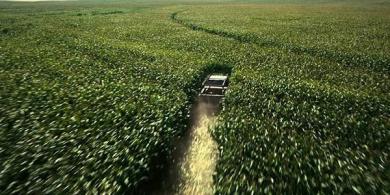 How Interstellar Turned Christopher Nolan Into An Actual Corn Farmer