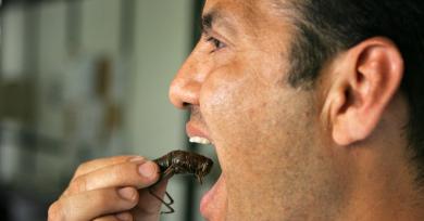 Los increíbles beneficios de comer grillos y gusanos de seda