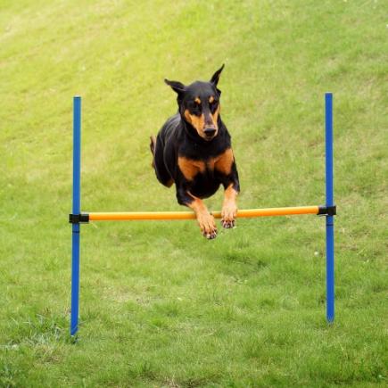 Outdoor pet Cão da agilidade Sports Games Training Equipment Cães Ir Hurdle Bar Obediência Mostrar Atividade agilidade Exercise Set Pólo com Carrying Case