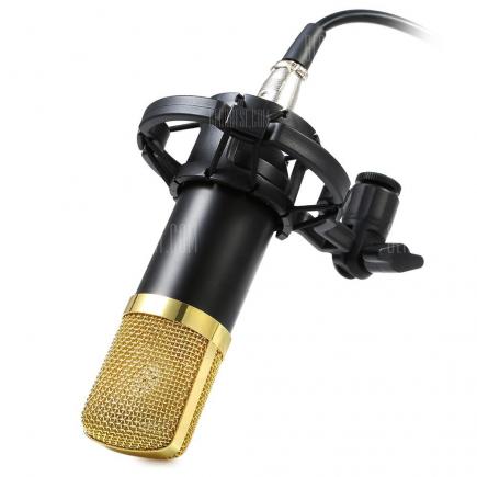 Y - 700 Condenser Microphone