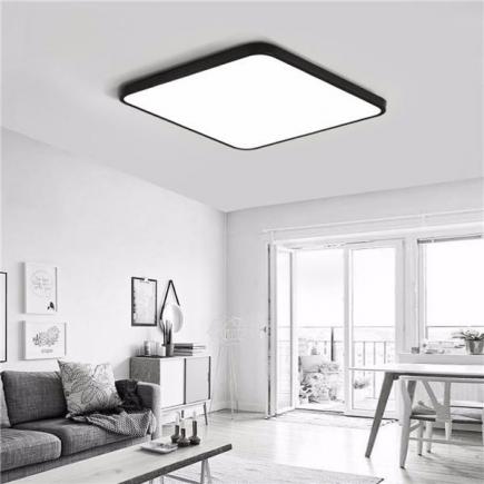 30W Modern Dimming LED Ceiling Light Surface Mount Lamp with Remote Control for Bedroom Bar 