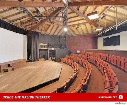 Chris Martin Drops $4.45 Million for 99-Seat Malibu Theater