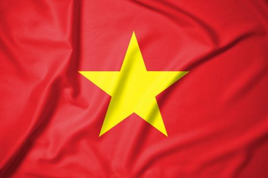 Vietnam Internet Crackdown Damages Plans to Become Blockchain Hub