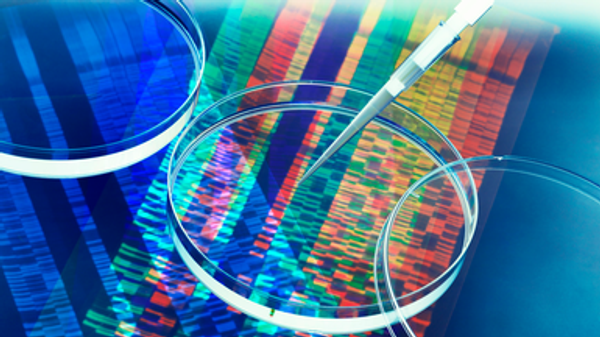 New Human Gene Tally Reignites Debate