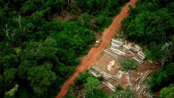 2017 Was a Really Bad Year for Tropical Forests