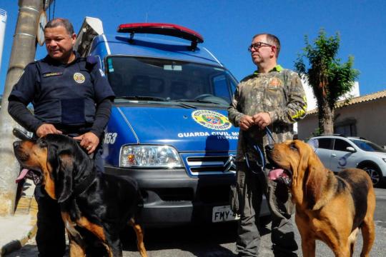 Cães levaram polícia a pedir prisão de casal por morte de Vitória Gabrielly