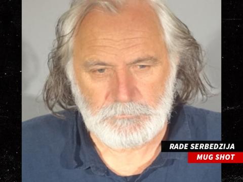 'Downton Abbey' Actor Rade Serbedzija Arrested for DUI