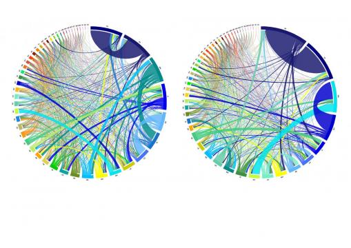 Discovering 'virtual' resources in the national food system