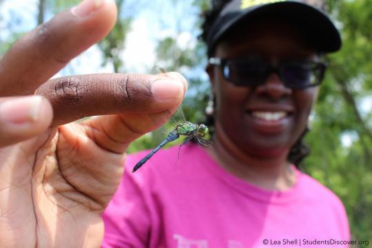 Can citizen science reverse the extinction of experience?