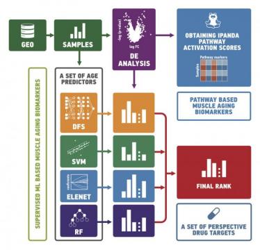 Machine learning to assist in building muscle