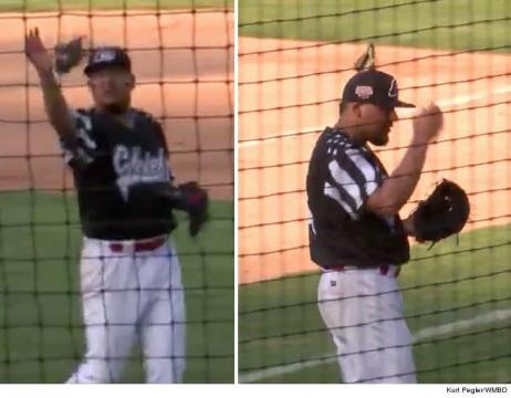Minor League Pitcher Catches Bird on Field, Puts On Top Of Head!!