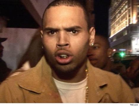 Chris Brown Arrested for Warrant After Florida Concert