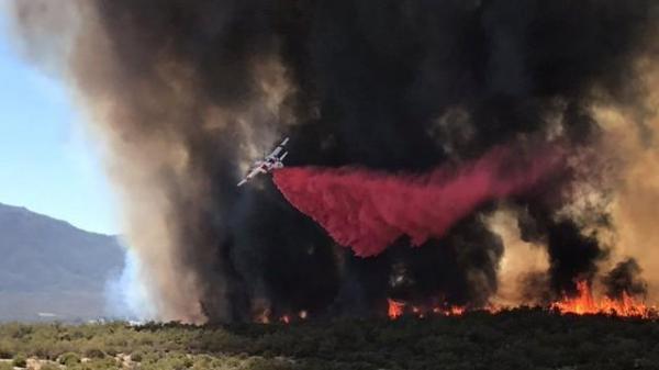 New wildfire in northern California kills one, spurs evacuation