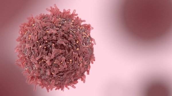 CRISPR Makes Cancer Cells Turncoats that Attack Their Tumor