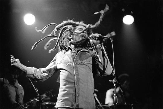 Sábado tem show tributo a Bob Marley e festa de São Vito; veja 15 atrações em SP