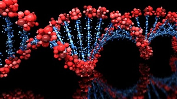 Potential DNA Damage from CRISPR "Seriously Underestimated," Study Finds