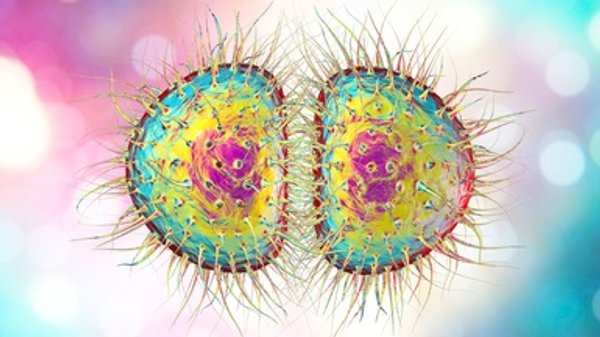 Resistance to Gonorrhea Spurs Bespoke Treatments