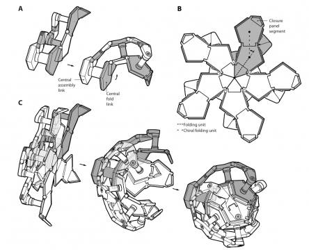 ‘Underwater Pokéball’ snatches up soft-bodied deep dwellers