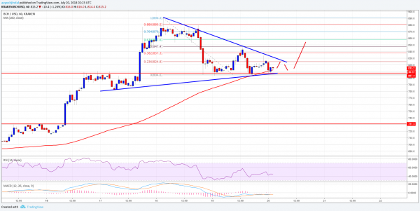 Bitcoin Cash Price Analysis: BCH/USD Holding Key Support