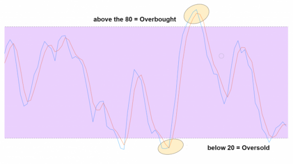 Crypto Trading 101: Stochastic Oscillators and Price Momentum