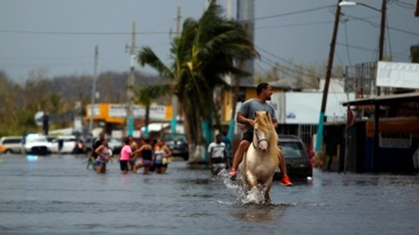 U.S. Is Unprepared for the Health Challenges of Climate Change, Experts Warn