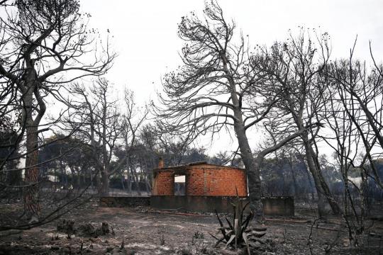 Wildfire kills at least 60 near Athens, families embrace as flames close in