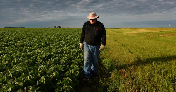 To Ease Pain of Trump’s Trade War: $12 Billion in Aid for Farmers