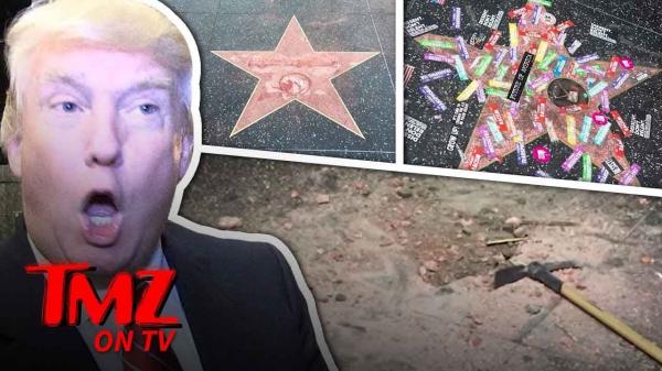 Trump Star Vandalized! | TMZ TV