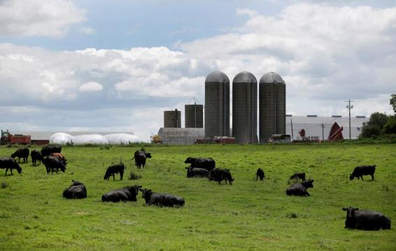 Iowa farmers wary of aid, trade wars but still turn out for Trump