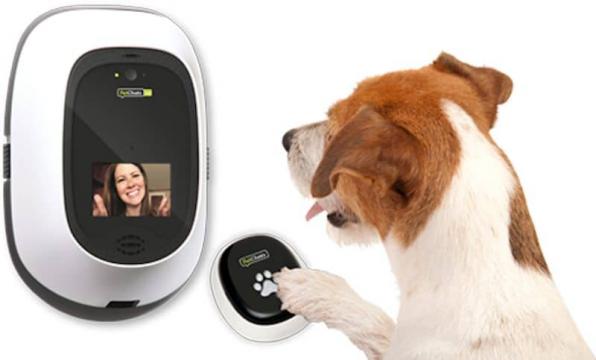 PetChatz Offers Digital Daycare For Your Pets