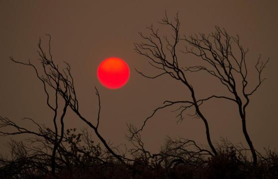 Woman, her two great-grandchildren found dead in California fire