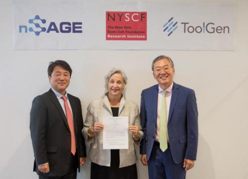 NYSCF partners with TOOLGEN, NSAGE to integrate gene editing and stem cell technologies