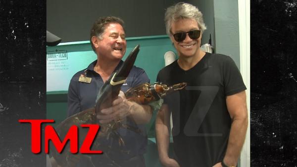 Jon Bon Jovi Meets Bon Jovi, a 19Pound Lobster, at Long Island Store