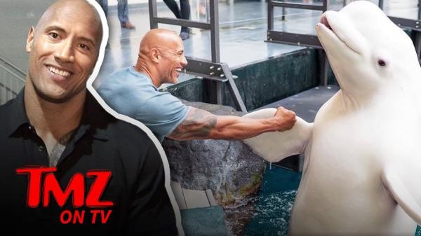 The Rock Gets Heat For His Whale Photo! | TMZ TV
