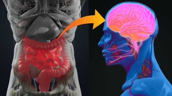 Is Your Gut Making You Depressed or Anxious?