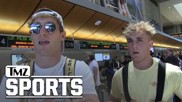 Logan & Jake Paul Want UFC Fight, Call Out Conor McGregor and CM Punk | TMZ Sports