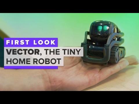 Meet Vector, the tiny home robot