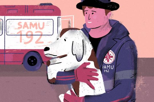 Demitir equipe do Samu que ajudou a resgatar cachorro não faz sentido