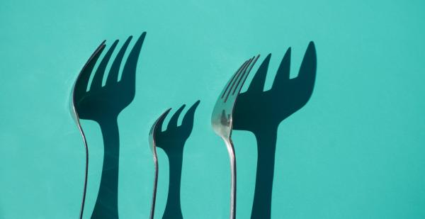 Fed Up and Forking: Rival EOS Blockchains Are Becoming a Reality