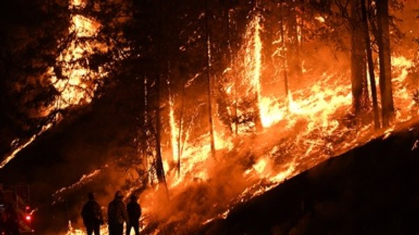 Warming Is Worsening Wildfires, But Not Everywhere or Every Time