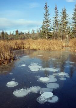 'Abrupt thaw' of permafrost beneath lakes could significantly affect climate change models