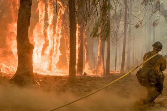 Fire that prompted closure of parts of Yosemite Park is contained