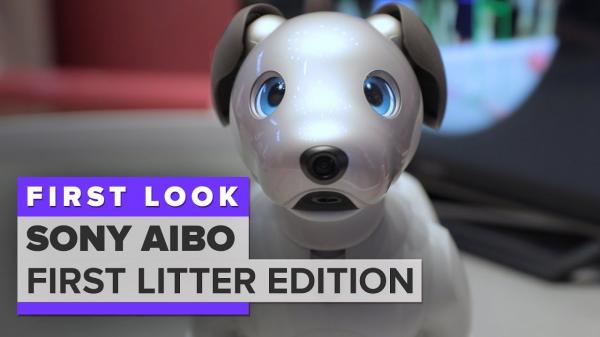 We played with Aibo Sonys 2,899 robot dog