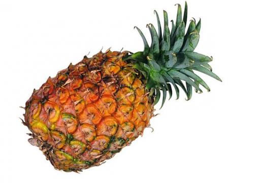 Pineapple Waste Won't Be Wasted