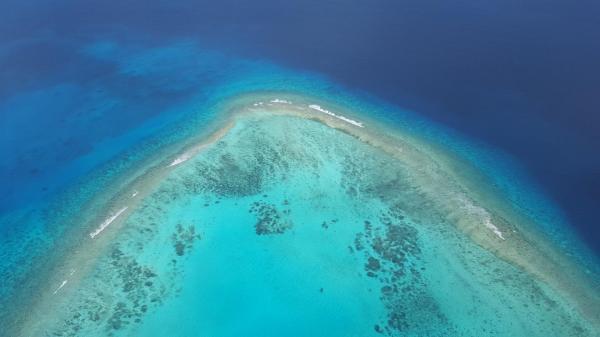 Scientists find corals in deeper waters under stress too